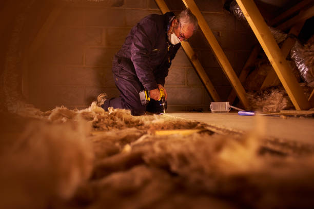 Best Insulation Installation Services in Caway, AR