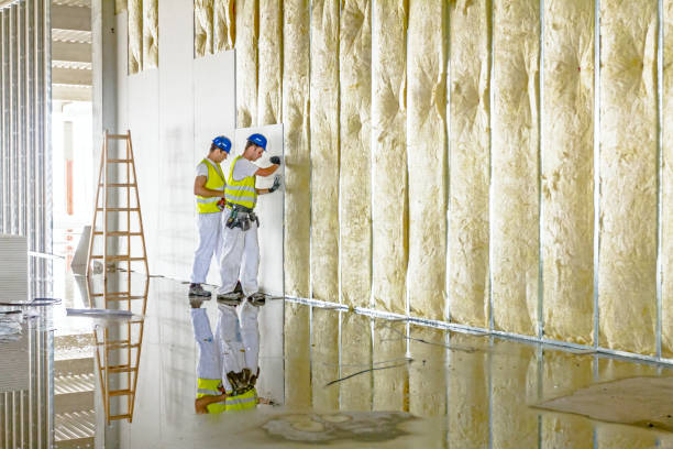 Best Residential Insulation in Caway, AR